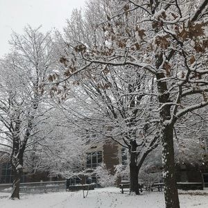 Meet your Posher, Cara